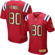 Camiseta New England Patriots Amendola Rojo Nike Gold Elite NFL Hombre