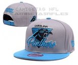 Gorra NFL Carolina Panthers Luz Gris Azul