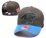 Gorra NFL Carolina Panthers Apagado Verde Azul
