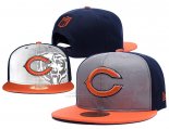 Gorra NFL Chicago Bears Gris