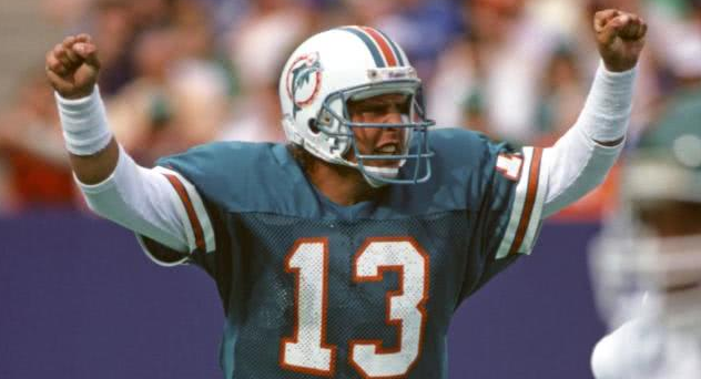 Miami Dolphins Replicas