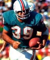 Miami Dolphins Replicas